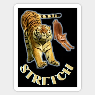 Stretch exercise by a tiger and a cat - gold text Magnet